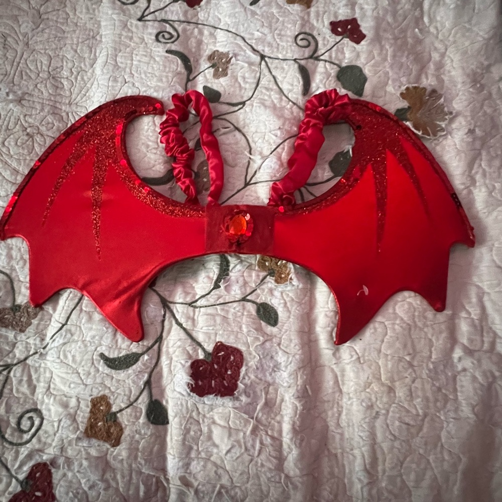 These are wings for a cute costume